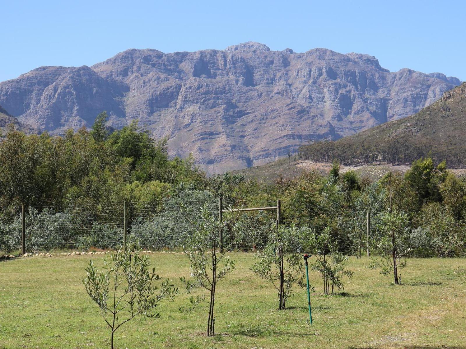 La Ferme Guest Farm - Hot Tubs Villa Franschhoek Bagian luar foto
