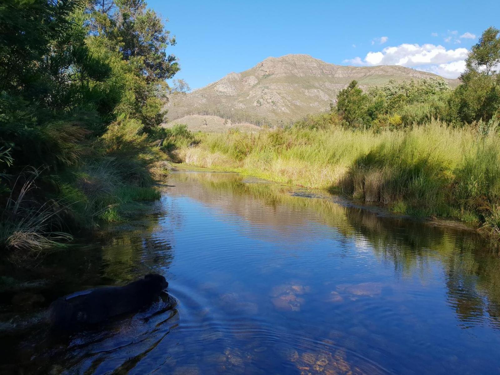 La Ferme Guest Farm - Hot Tubs Villa Franschhoek Bagian luar foto