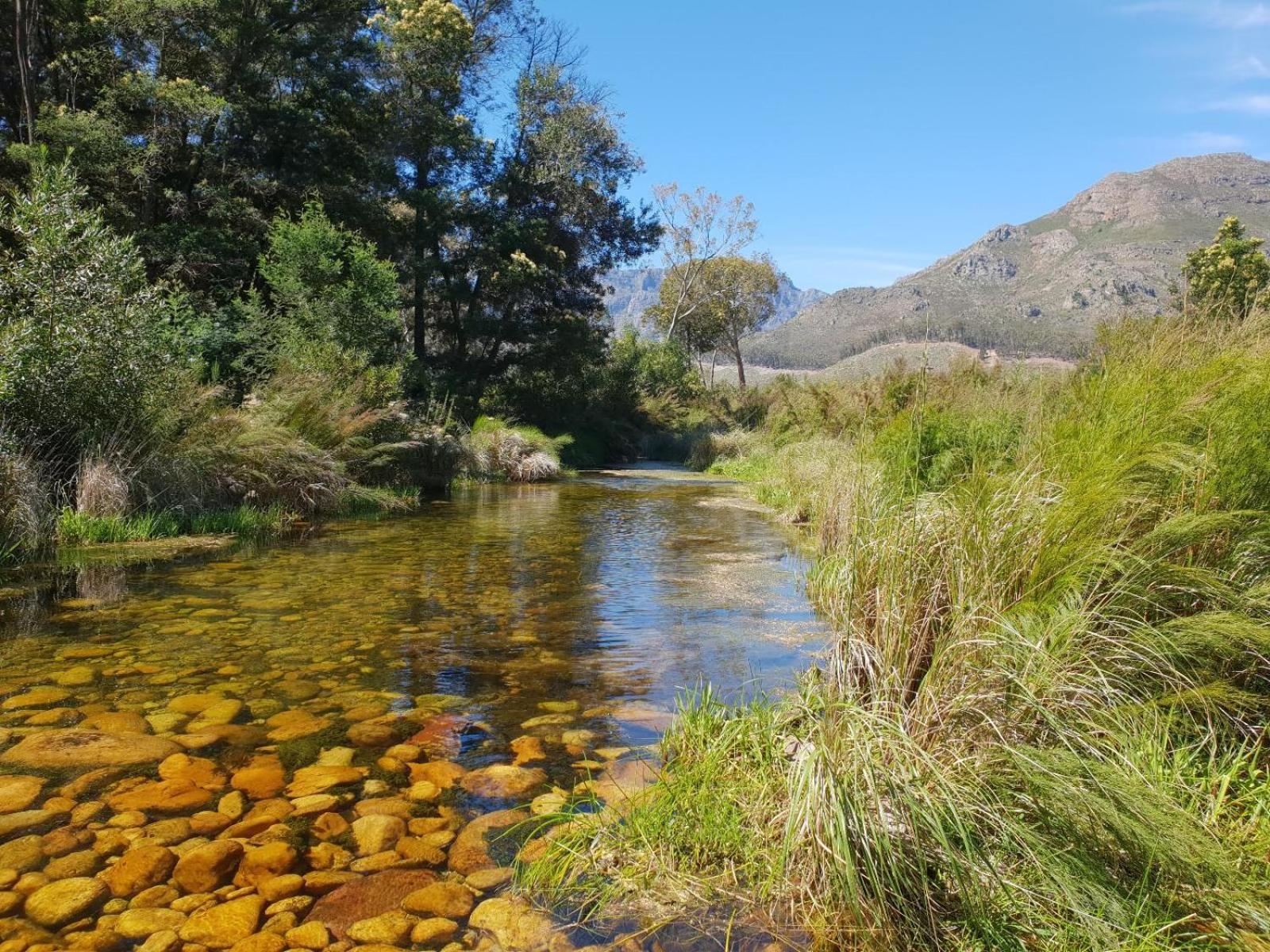 La Ferme Guest Farm - Hot Tubs Villa Franschhoek Bagian luar foto