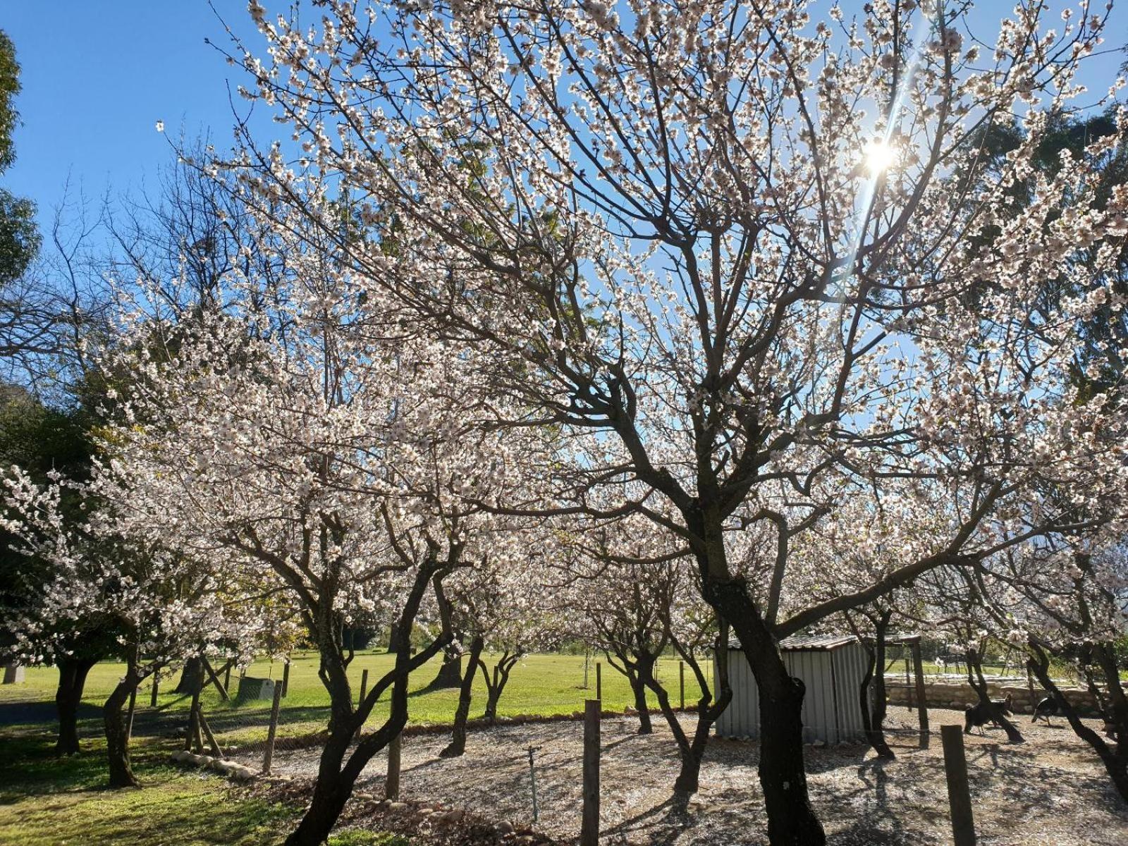 La Ferme Guest Farm - Hot Tubs Villa Franschhoek Bagian luar foto