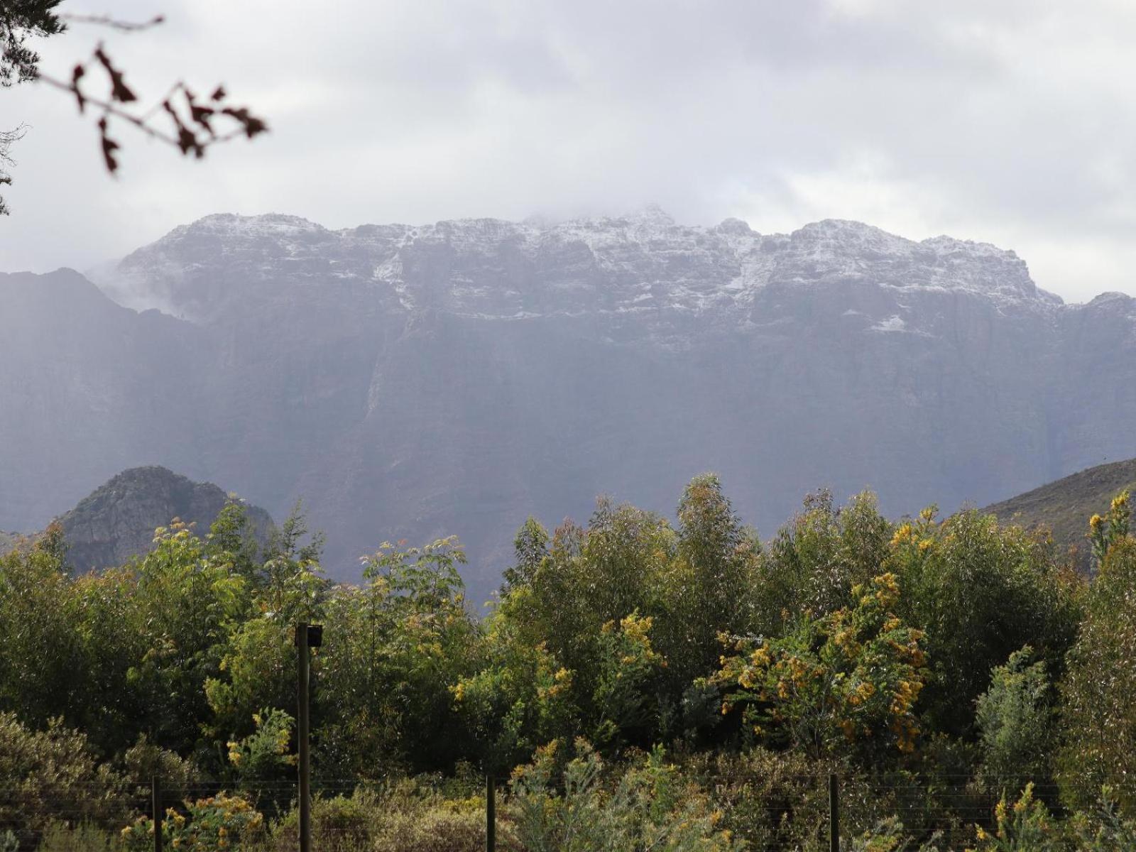 La Ferme Guest Farm - Hot Tubs Villa Franschhoek Bagian luar foto